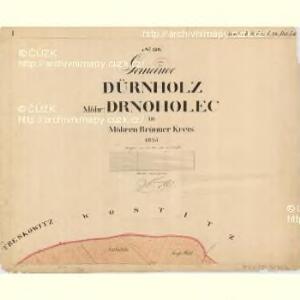 Dürnholz - m0577-1-001 - Kaiserpflichtexemplar der Landkarten des stabilen Katasters