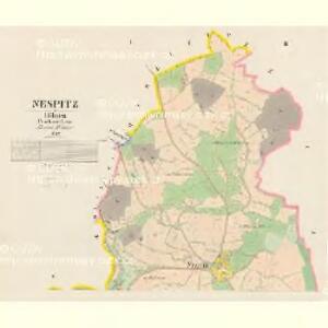 Nespitz - c5061-1-001 - Kaiserpflichtexemplar der Landkarten des stabilen Katasters