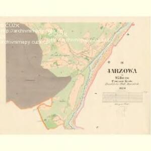 Jarzowa - m1039-1-003 - Kaiserpflichtexemplar der Landkarten des stabilen Katasters