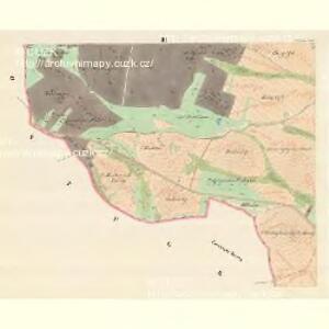 Trebetitz - m3149-1-002 - Kaiserpflichtexemplar der Landkarten des stabilen Katasters
