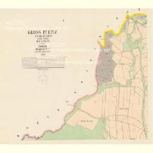 Gross Pulitz (Welka Pulice) - c6281-1-001 - Kaiserpflichtexemplar der Landkarten des stabilen Katasters