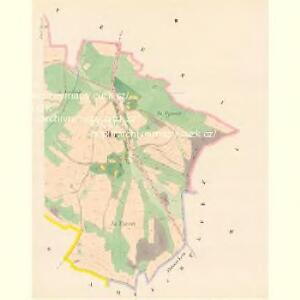 Shurz (Shuř) - c9264-1-002 - Kaiserpflichtexemplar der Landkarten des stabilen Katasters