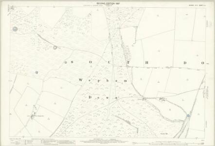 Sussex L.11 (includes: Burpham; Parham) - 25 Inch Map