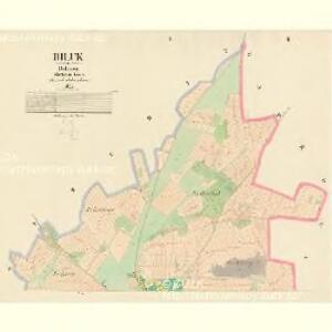 Biluk - c0233-1-001 - Kaiserpflichtexemplar der Landkarten des stabilen Katasters