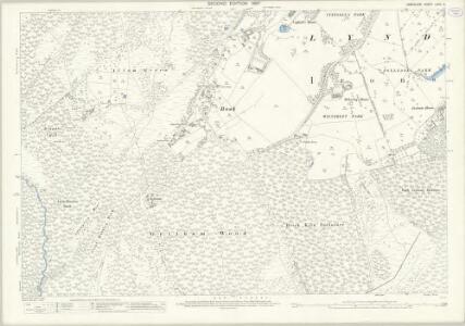 Hampshire and Isle of Wight LXXII.5 (includes: Brockenhurst; Lyndhurst; Minstead) - 25 Inch Map
