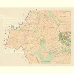 Diwischau (Diwišow) - c1123-1-003 - Kaiserpflichtexemplar der Landkarten des stabilen Katasters