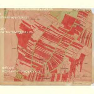 Nuesiedl - m2070-1-003 - Kaiserpflichtexemplar der Landkarten des stabilen Katasters