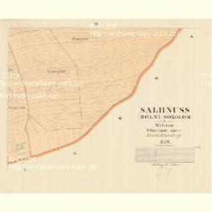 Salbnuss (Dolni Sokolom) - m0531-1-003 - Kaiserpflichtexemplar der Landkarten des stabilen Katasters