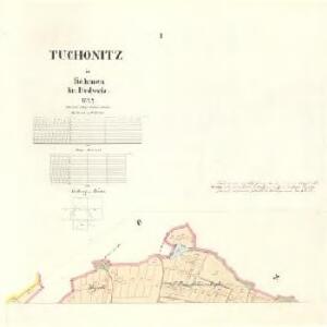 Tuchonitz - c8100-1-001 - Kaiserpflichtexemplar der Landkarten des stabilen Katasters