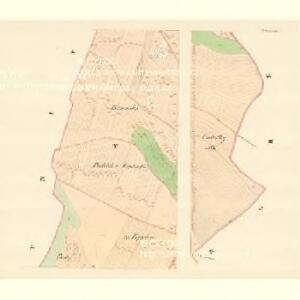 Tieschan - m3098-1-005 - Kaiserpflichtexemplar der Landkarten des stabilen Katasters