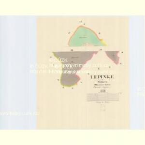 Lepinke - m1565-1-002 - Kaiserpflichtexemplar der Landkarten des stabilen Katasters