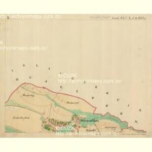 Slawathen - m2765-1-002 - Kaiserpflichtexemplar der Landkarten des stabilen Katasters