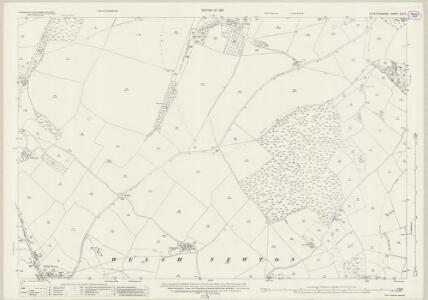 Herefordshire LIII.4 (includes: Llangarren; Llanrothal; Welsh Newton) - 25 Inch Map