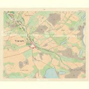 Tüppelsgrün - c1108-1-005 - Kaiserpflichtexemplar der Landkarten des stabilen Katasters