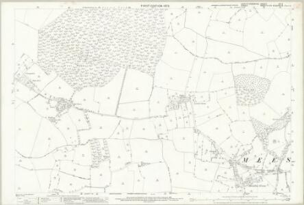 Hertfordshire IX.11 (includes: Anstey; Langley; Meesden; Nuthampstead) - 25 Inch Map