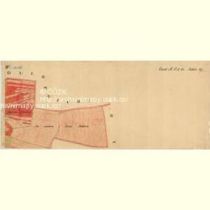 Nuesiedl - m2070-1-010 - Kaiserpflichtexemplar der Landkarten des stabilen Katasters