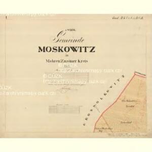 Moskowitz - m1678-1-001 - Kaiserpflichtexemplar der Landkarten des stabilen Katasters