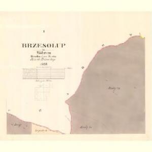 Brzesolup - m0262-1-001 - Kaiserpflichtexemplar der Landkarten des stabilen Katasters