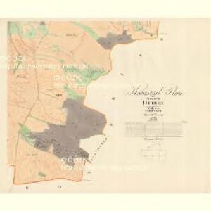 Deblin - m0421-1-008 - Kaiserpflichtexemplar der Landkarten des stabilen Katasters
