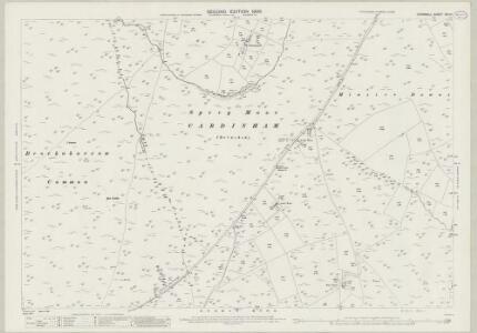 Cornwall XXI.14 (includes: Altarnun; Blisland; St Neot) - 25 Inch Map