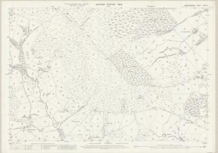 Herefordshire XXXVII.3 (includes: Llangernyw; Michaelchurch Escley; Peterchurch) - 25 Inch Map