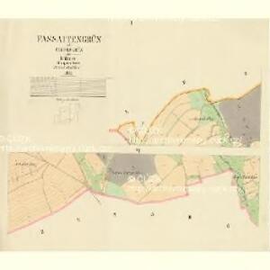 Fassattengrün - c0442-1-001 - Kaiserpflichtexemplar der Landkarten des stabilen Katasters