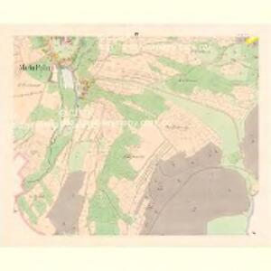 Pollin (Polin) - c5976-1-004 - Kaiserpflichtexemplar der Landkarten des stabilen Katasters