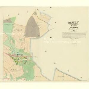 Brzezy - c0567-1-003 - Kaiserpflichtexemplar der Landkarten des stabilen Katasters