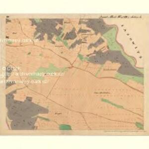 Alt Petrein - m2871-1-004 - Kaiserpflichtexemplar der Landkarten des stabilen Katasters