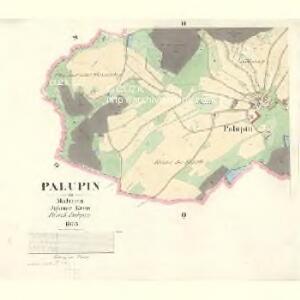 Palupin - m2220-1-002 - Kaiserpflichtexemplar der Landkarten des stabilen Katasters