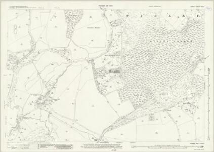 Surrey XVII.11 (includes: Ockham; Pyrford; Wisley) - 25 Inch Map