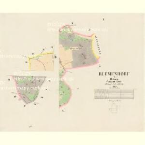 Blumendorf - c3750-1-002 - Kaiserpflichtexemplar der Landkarten des stabilen Katasters