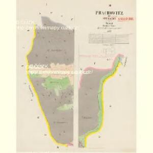 Prachowitz - c6082-1-001 - Kaiserpflichtexemplar der Landkarten des stabilen Katasters