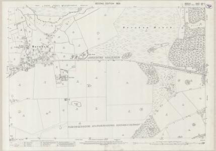 Norfolk CVIII.4 (includes: Barnham; Brettenham; Euston) - 25 Inch Map