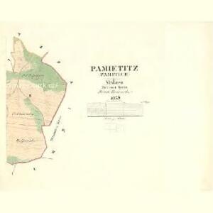 Pamietitz (Pamitice) - m2221-1-002 - Kaiserpflichtexemplar der Landkarten des stabilen Katasters