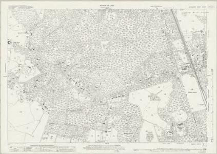 Berkshire XLVI.11 (includes: Crowthorne; Finchampstead; Sandhurst; Wokingham Without) - 25 Inch Map